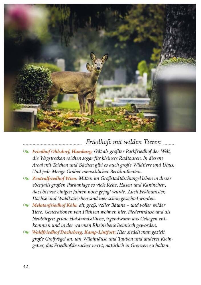 Der Friedhof lebt! Tinz, Sigrid